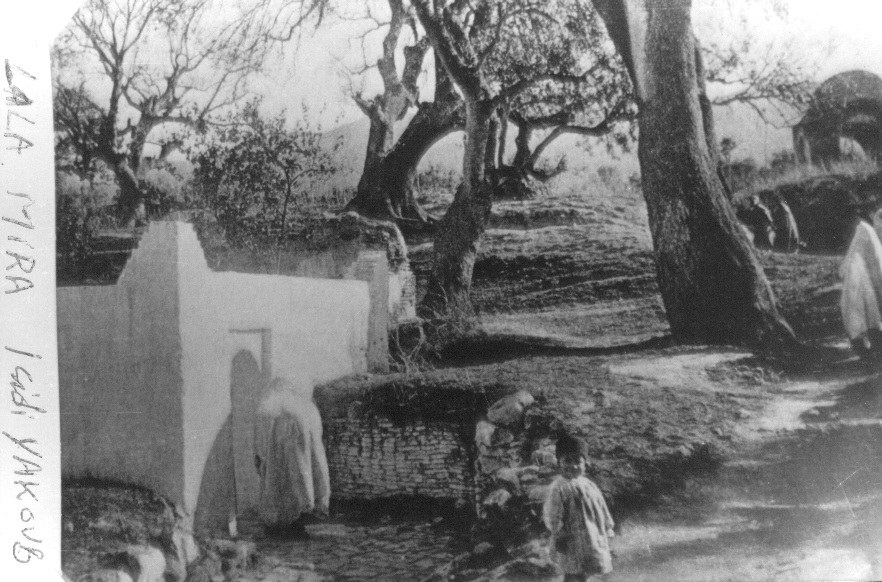 Photo Ancienne de Tlemcen  Sidi Yakoub