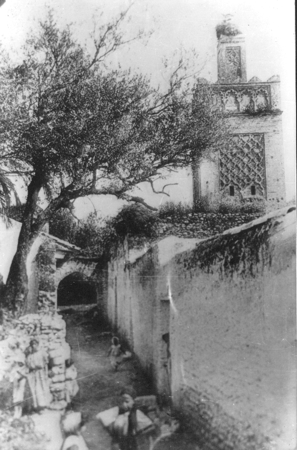 Photo Ancienne de Tlemcen  Mosquée Sidi Lahcene