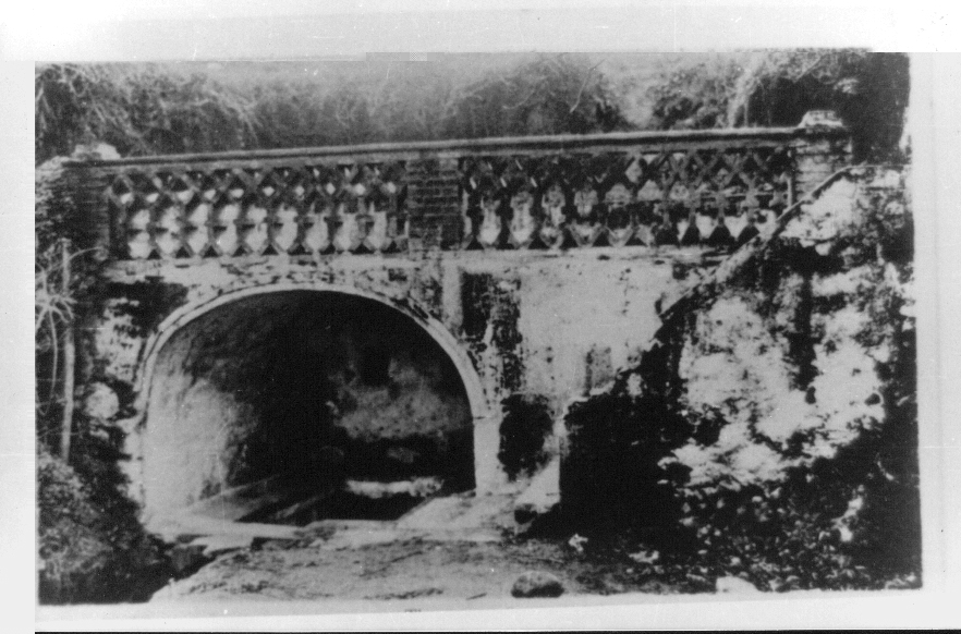 Photo Ancienne de Tlemcen  Source du Rabb