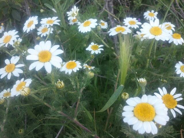 Les plus beaux endroits de Yabous