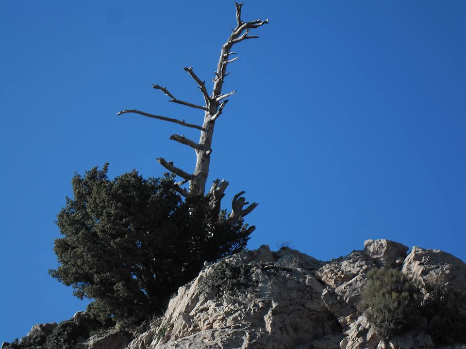 Les plus beaux endroits de Yabous