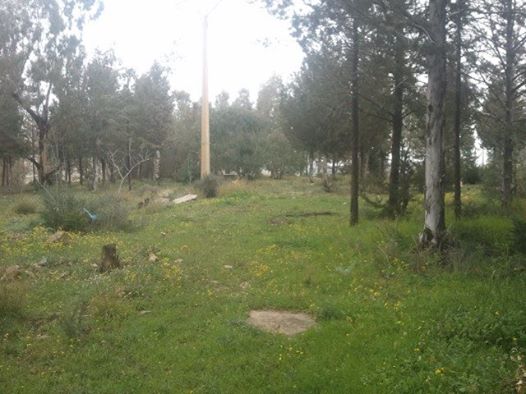 Les plus beaux endroits de Yabous