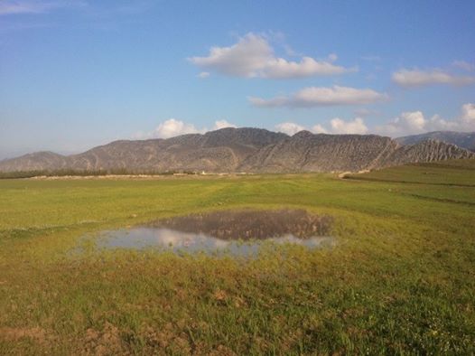 Les plus beaux endroits de Yabous