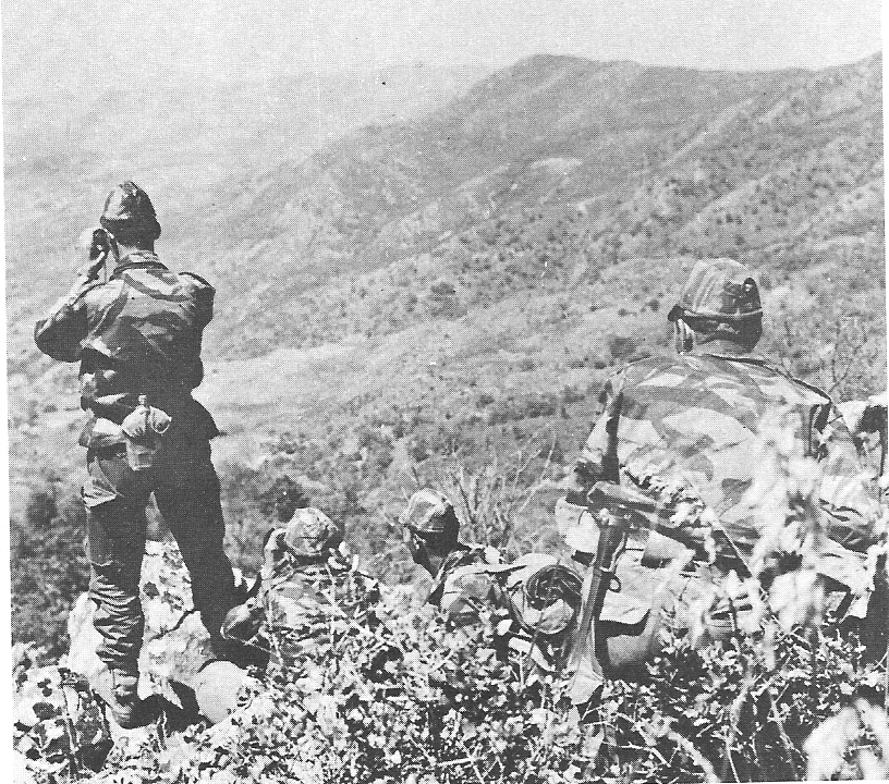 Commandos de chasse à Chélia Yabous