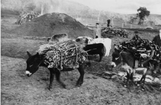 Les moyens de transports des habitants Ain Mimoun