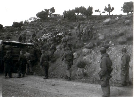 La récupération du bétail améliore l'ordinaire Ain Mimoun