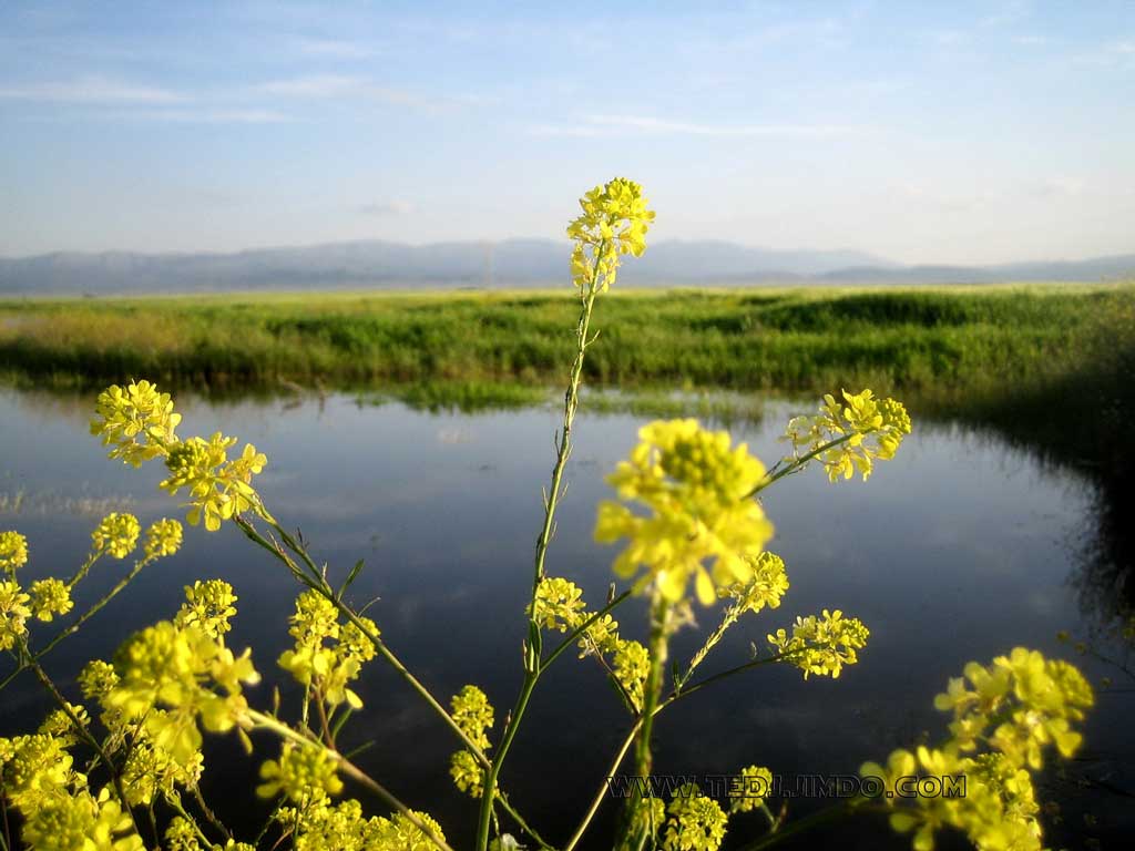 les beaux paysages de Remila Khenchela