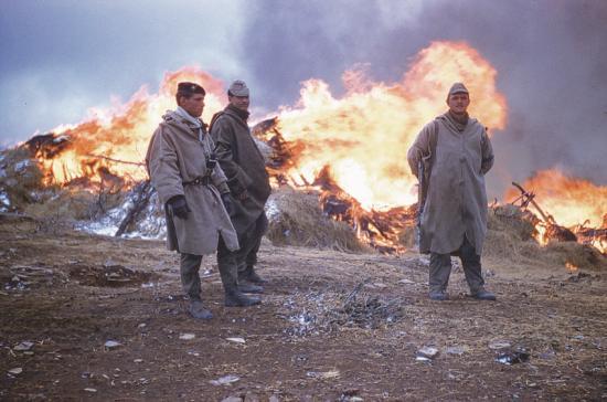 Brûler des mechtas au douar taouzient