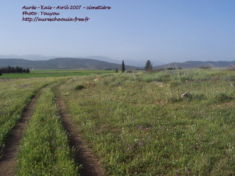 LES BEAUX PAYSAGES DE KAIS