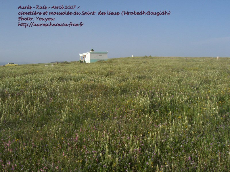 Cimetière Merabet Bouzid de Kais 2007