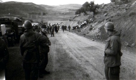 حجز قطيع من الاغنام والابقار كونها وجدت في المنطقة المحرمة  بوحمامة