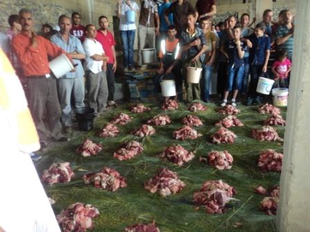 Louziaa à Thakliath