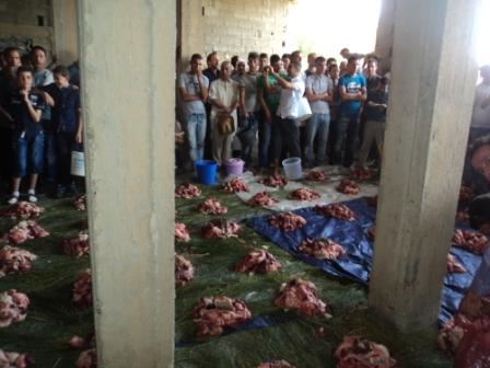 Louziaa à Thakliath