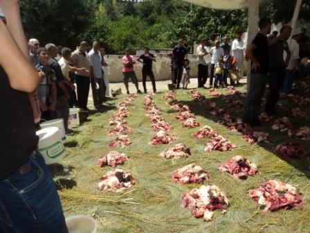 Louziaa à Bouzelatène