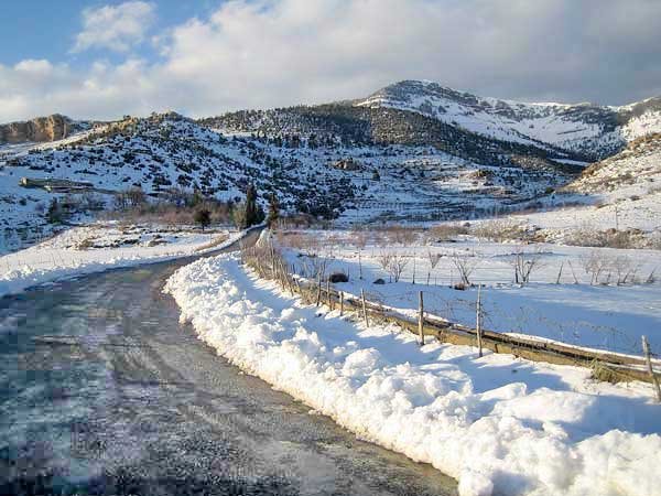 شليا في فصل الشتاء