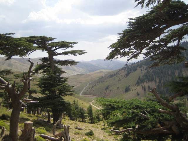 شليا منطقة سياحية باشجارها وانهارها ومناظرها الجميلة