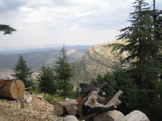 شليا منطقة سياحية باشجارها وانهارها ومناظرها الجميلة