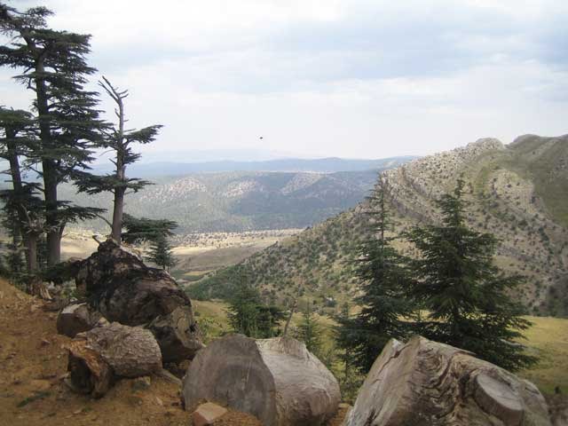 شليا منطقة سياحية باشجارها وانهارها ومناظرها الجميلة