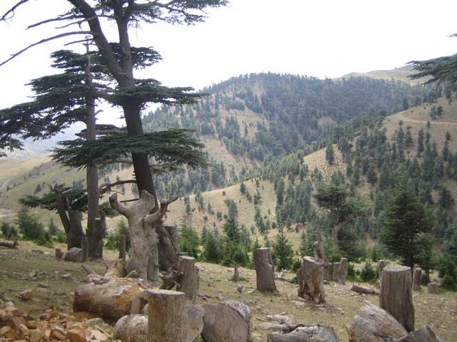 شليا منطقة سياحية باشجارها وانهارها ومناظرها الجميلة