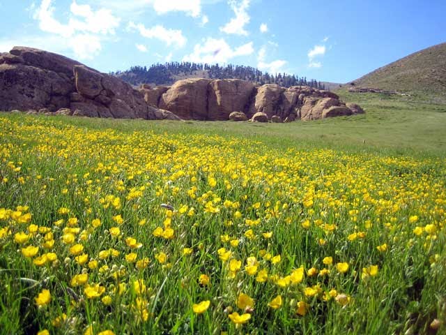 شليا منطقة سياحية باشجارها وانهارها ومناظرها الجميلة