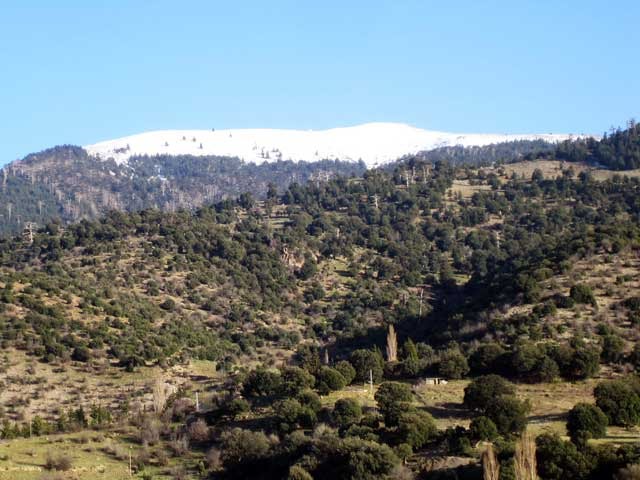 شليا منطقة سياحية باشجارها وانهارها ومناظرها الجميلة