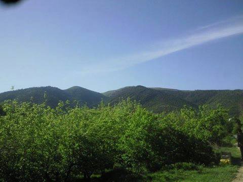 شليا منطقة سياحية باشجارها وانهارها ومناظرها الجميلة