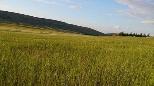 شليا منطقة سياحية باشجارها وانهارها ومناظرها الجميلة