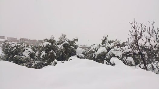 يابوس في فصل الشتاء التلوج تغطي كل شيء تعطيها جمالا على جمال