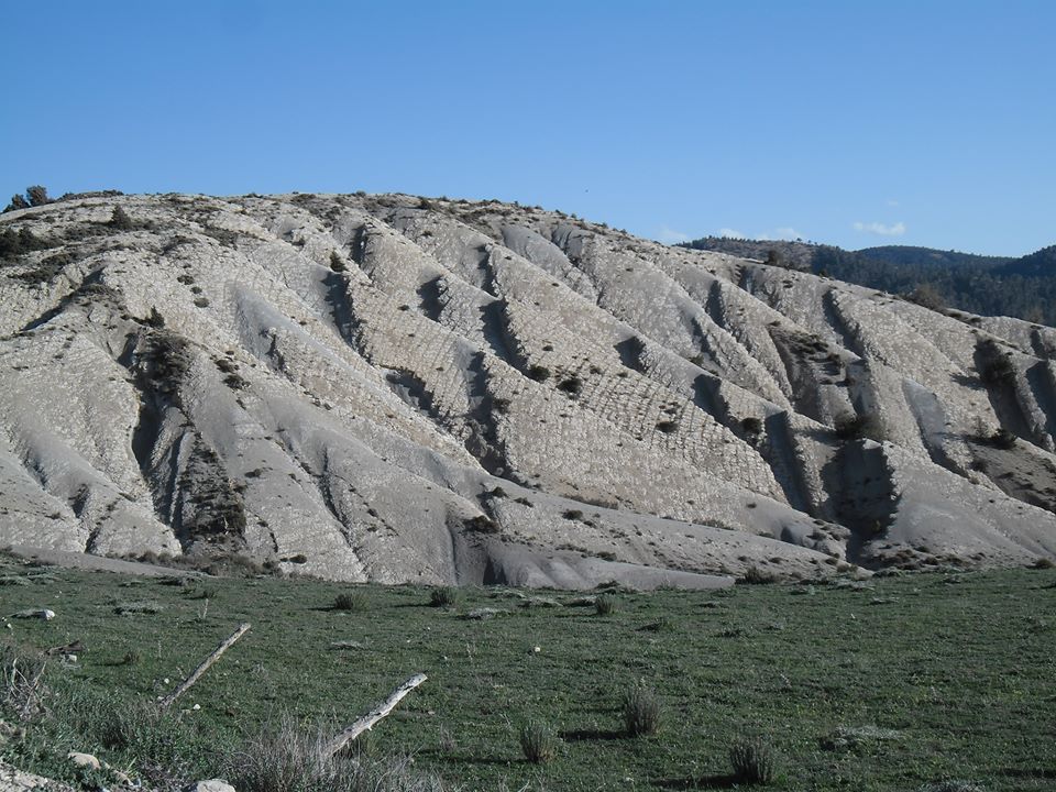 شليا الشامخة الجميلة