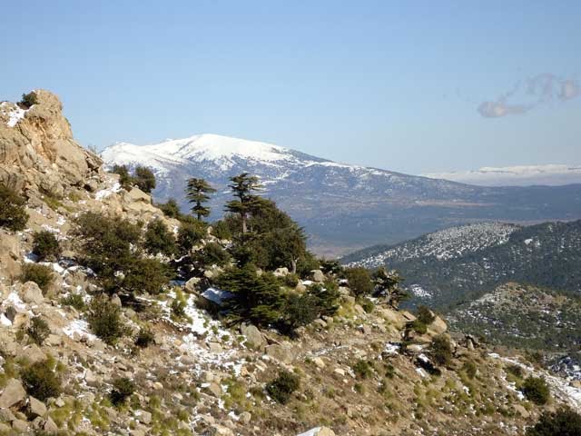 شليا في فصل الشتاء