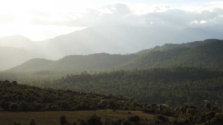 جبل شليا الشامخمة بقمته راس كلثوم 2328 م ببلدية يابوس بوحمامة خنشلة