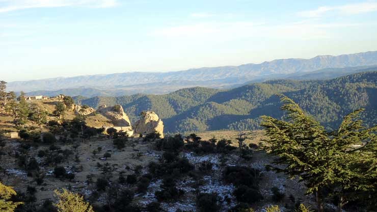 شليا منطقة سياحية باشجارها وانهارها ومناظرها الجميلة