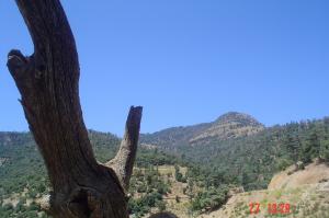 شليا منطقة سياحية باشجارها وانهارها ومناظرها الجميلة