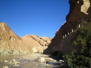 الولجة بلدية العجائب