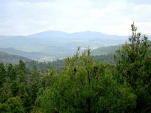 لمصارة بلدية تاريخية وسياحية بخنشلة