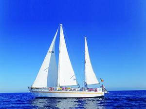 Mer méditerranée - L’expédition «Med en danger» accoste à Béjaïa «Stop plastic in the sea !»