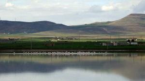 المحمل بلدية فلاحية سياحية زراعية بامتياز خنشلة