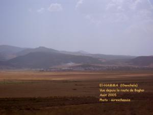 الحامة بلدية الورشات في جميع الميدين