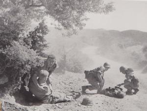 مجموعة من جيش العدو سقطت في كمين لجيش التحرير الوطني جرحى وقتلى في صفوفهم بشليا