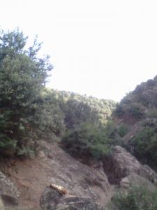 جبل شليا بالمكان المسمى الماء لكحل الكنتينة يابوس مناظر لا مثيل لها