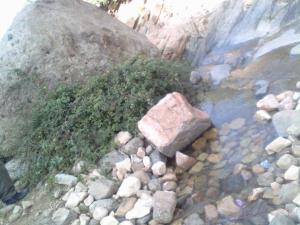 الماء لكحل الكانتينة يابوس مكان سياحي ترفيهي بامتياز