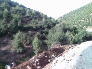 جبل شليا بالمكان المسمى الماء لكحل الكنتينة يابوس مناظر لا مثيل لها