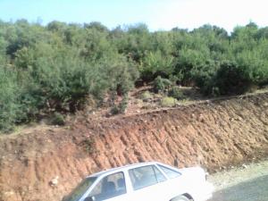 جبل شليا بالمكان المسمى الماء لكحل الكنتينة يابوس مناظر لا مثيل لها