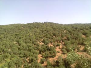 جبل شليا المكان المسمى الماء لكحل الكانتينة يابوس مناظر لا مثيل له