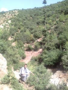 جبل شليا المكان المسمى الماء لكحل الكانتينة يابوس مناظر لا مثيل لها --تغيث--