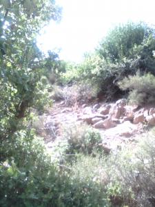 Les plus beaux endroits de Yabous El kantina