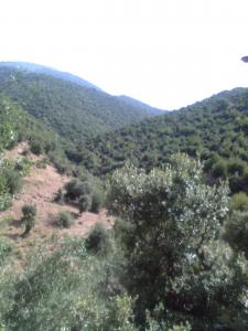 Les plus beaux endroits de Yabous El kantina