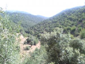 Les plus beaux endroits de Yabous EL Ma Lakhel El Kantina