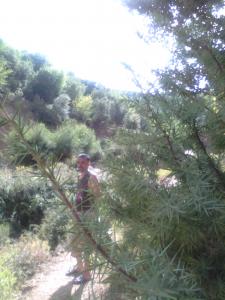 Les plus beaux endroits de Yabous