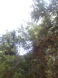 Visiter El Kantina Yabous Pour la richesse et la diversité des paysages